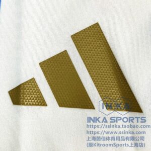 2024阿根廷主场球员版3L 本店实拍